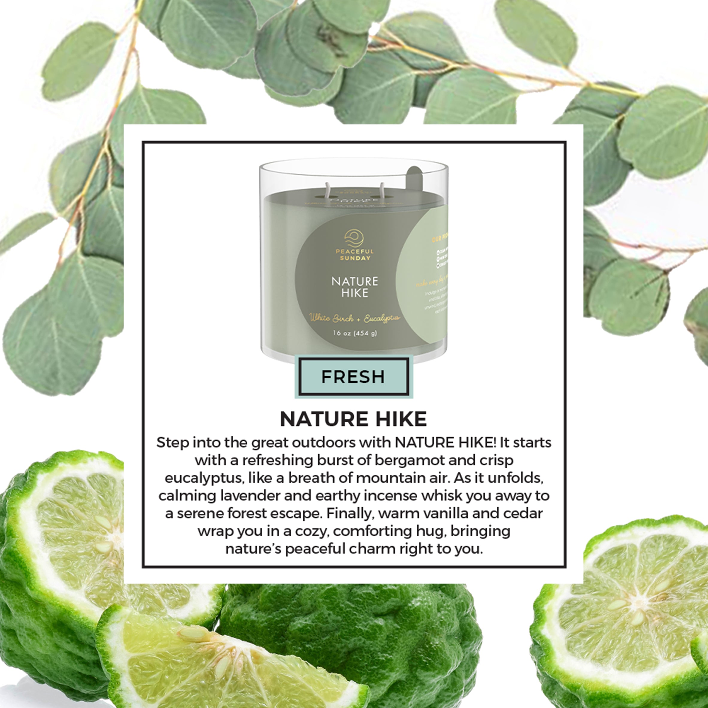 Candle labeled 'Nature Hike' surrounded by green leaves and lime slices on a white background