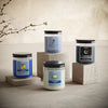 2 of Moonlit Starry Night 6.5oz Jar Candle product images