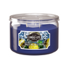 1 of Salty Blue Citron 3-wick 10oz Jar Candle product images