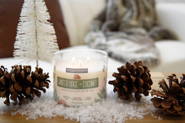 Winter Sage + Coconut 3-wick 14.75oz Jar Candle Product Image 3