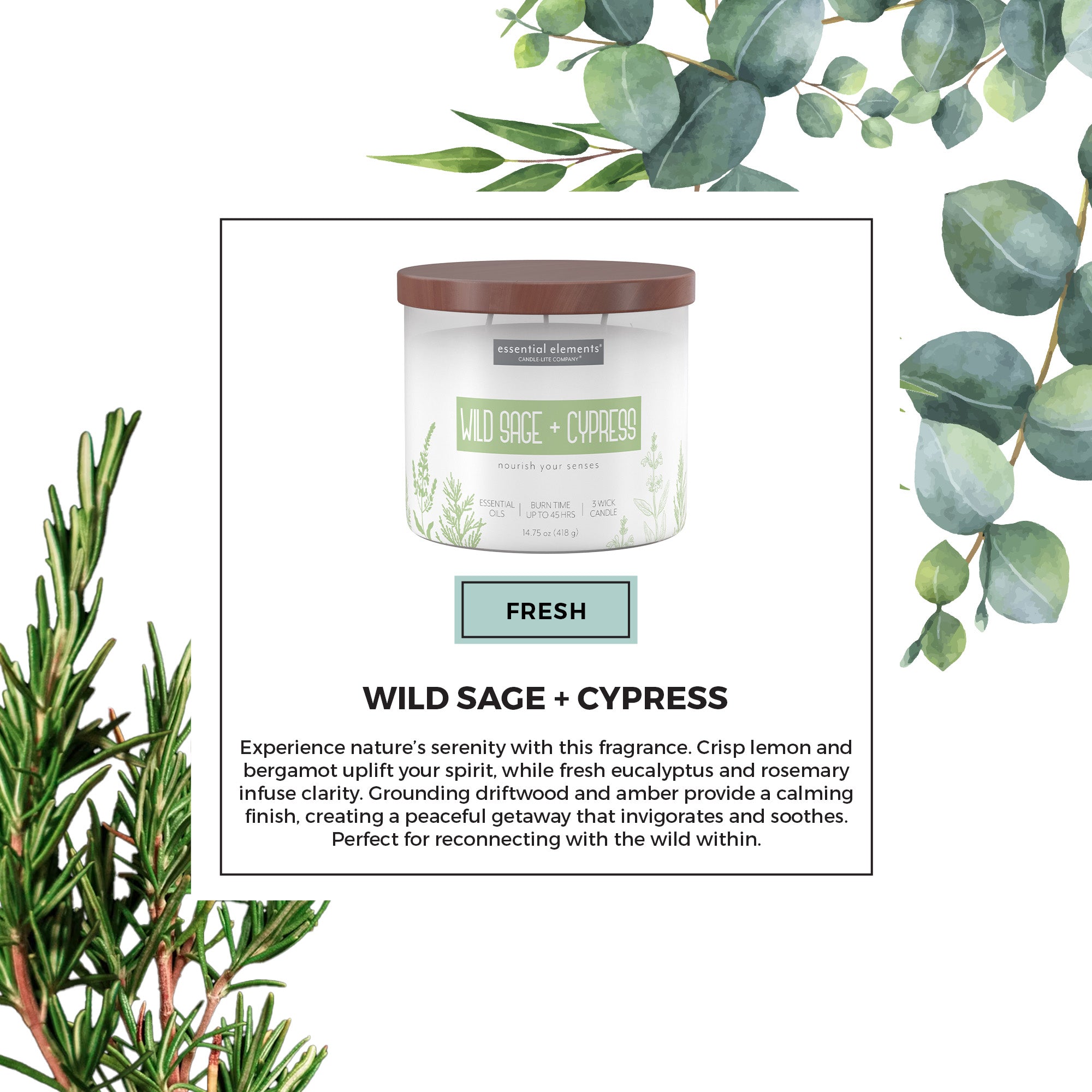 Wild Sage & Cypress 3-wick 14.75oz Jar Candle – Candle-lite Company
