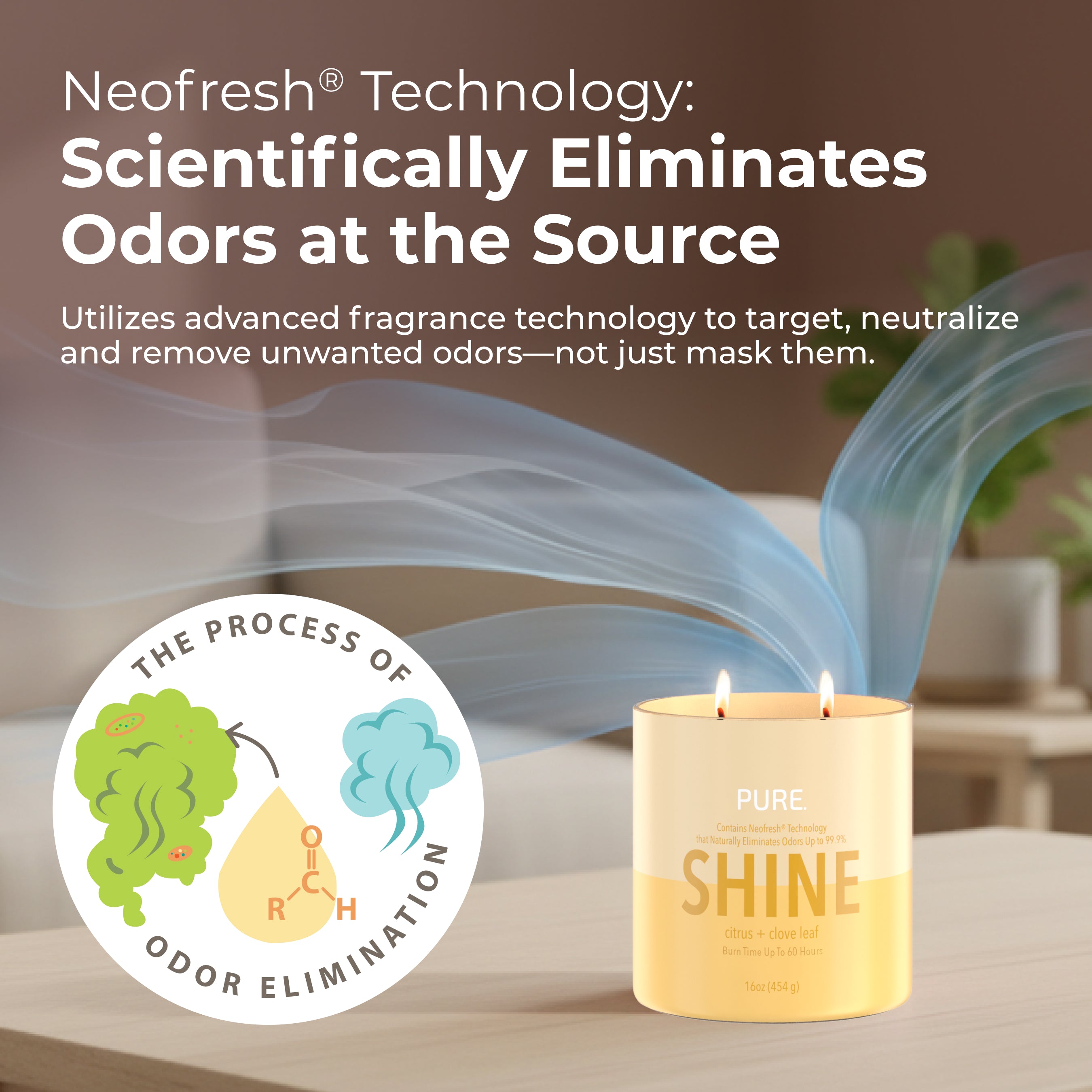 SHINE – Candle-lite Company