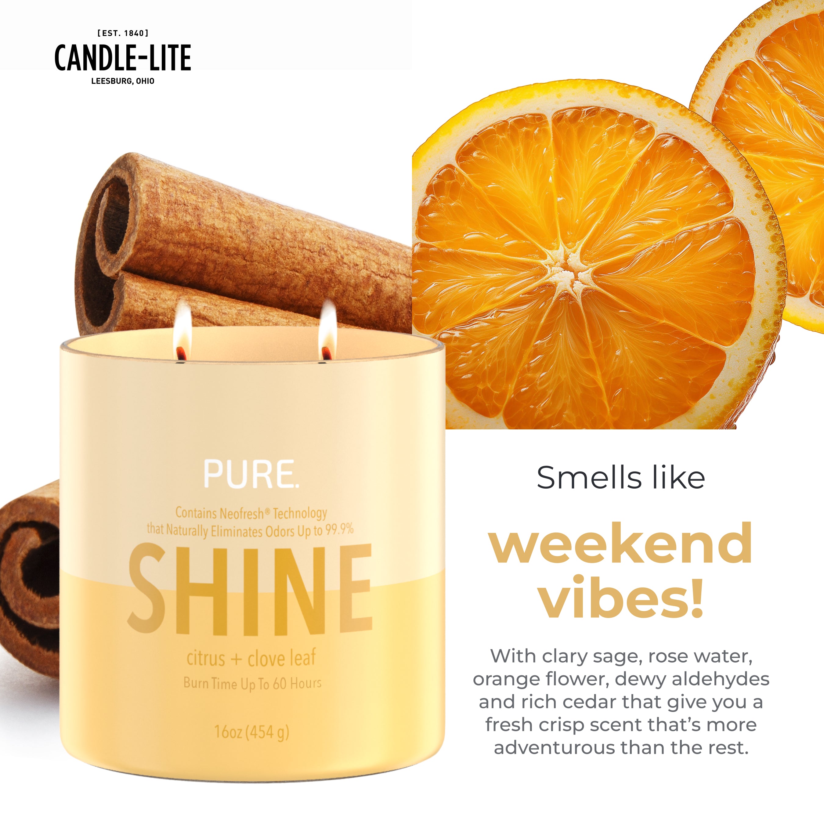 SHINE – Candle-lite Company