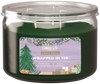 1 of Wrapped in Fir 3-wick 10oz Jar Candle product images