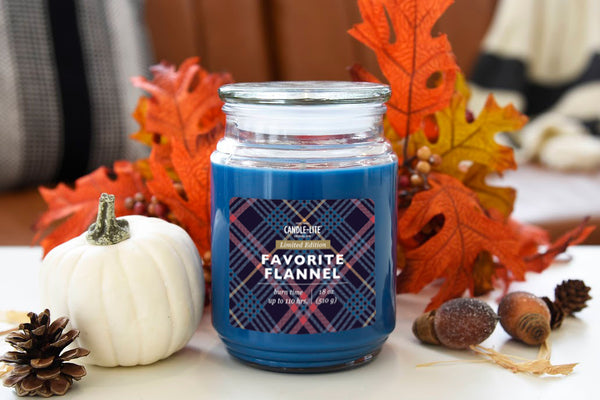 Favorite Flannel Product Image 2