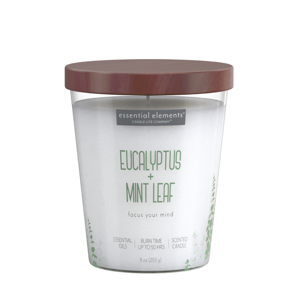 Eucalyptus & Mint Leaf 9oz Jar Candle Product Image 1