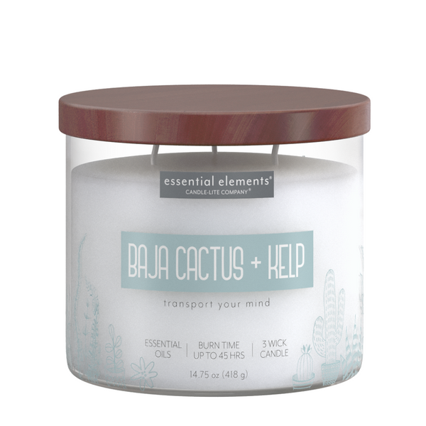 Baja Cactus & Kelp 3-wick 14.75oz Jar Candle Product Image 1