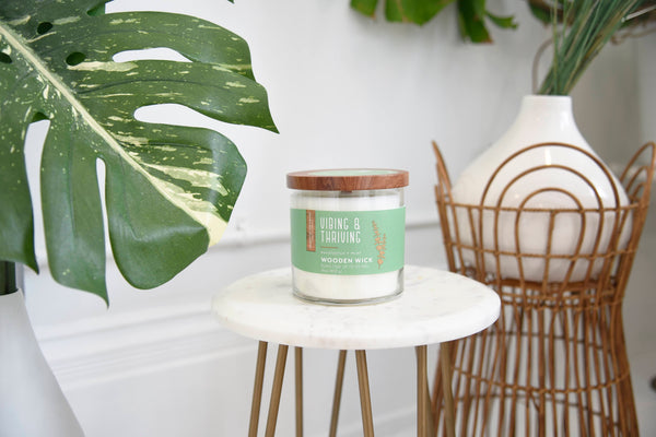 Vibing & Thriving Product Image 2