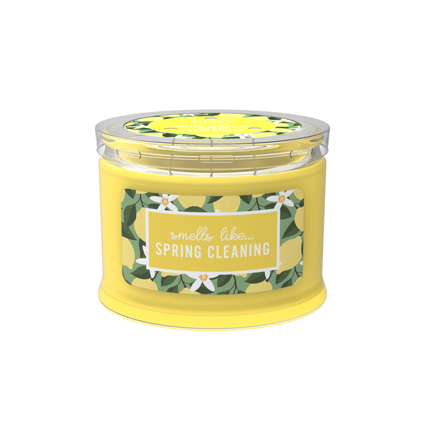 Smells Like... Spring Cleaning 3-wick 11.5oz Jar Candle Product Image 2