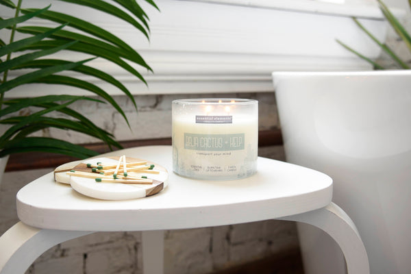 Baja Cactus & Kelp Product Image 3