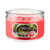 4 of Juicy Watermelon Slice 3-wick 10oz Jar Candle product images