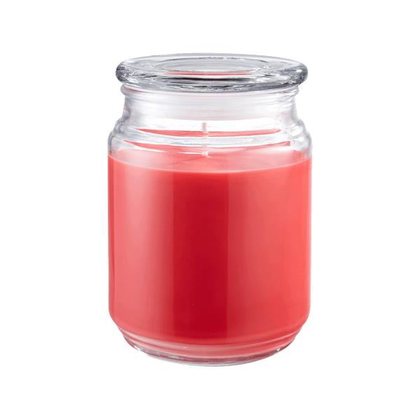 Juicy Watermelon Slice Product Image 2