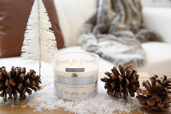 Iced Juniper + Eucalyptus Product Image 3