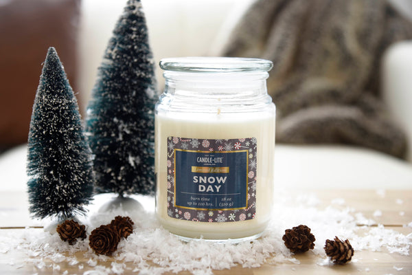 Snow Day Product Image 2