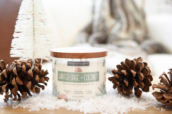 Winter Sage + Coconut 3-wick 14.75oz Jar Candle Product Image 2